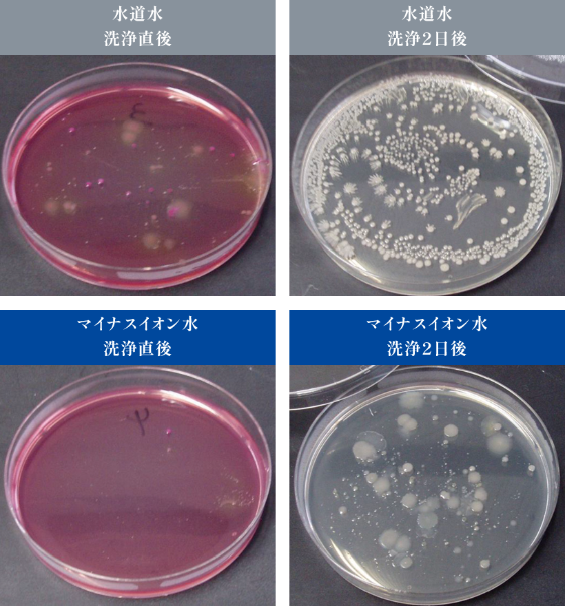 細菌増殖率の比較